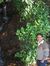 Praveen Rs