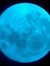 Coeruleo Luna