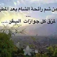 أماني البطرني