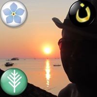 Mindaugas Ardisauskas