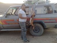 Alitoblibya Libyafree