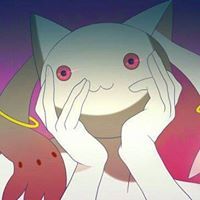 ヒガンバナ シロネコ