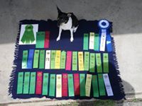 Lori Sutter Espeland