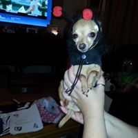 Laura Kielma-beckler