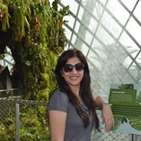 Afsheen Rehan