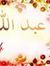 Abdalla...