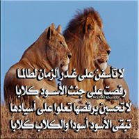 احمد محمد عبد القادرالسيلي