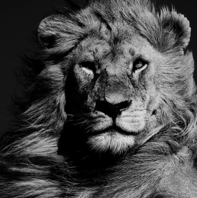 Goodreads profile picture for @thirteenth