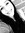 Sydney Lopez | 11 comments