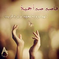 Adham Elsaid elbaioumi