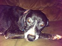 Deanna Pena- mccullah