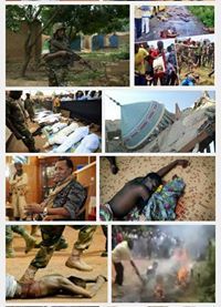 أنین الورود