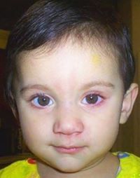 Sameena Sarang