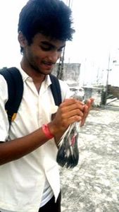 Shreyankar Bhattacharjee