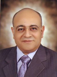 Hesham Elsaid