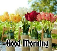 Shailesh Kumar