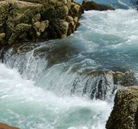 Chamoni Mossa-simone