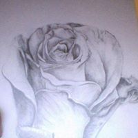 Sallyann Freudenberg