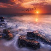 رووح الوررد