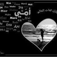 Alaa Kamel