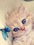 Amira S...