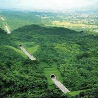 عبدالرحمن الرشيدي