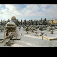 غنى الشافعي