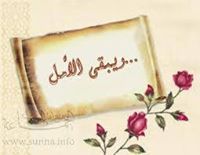 محمد البركاني