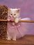 Soumya ...