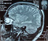 Сергей Гавриленко