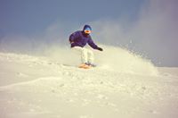 Алексей Михайлов