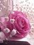 Heba Zayed