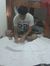 Mohamed Awada