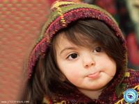 Ainee Jawed