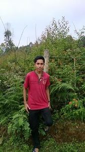 Amesh Varghese