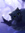 The Cheshire Cat