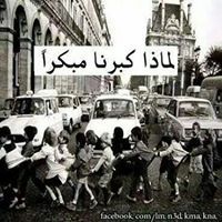 زهرة النسرين