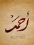 Ahmed A...