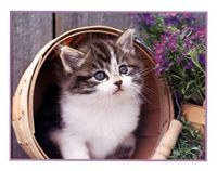 Мария Иванова