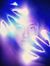 Justin