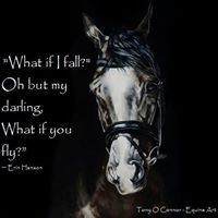 Heidi Mayberry-johnson