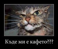 Цветан Стефанов