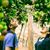 Ankit Tripathi
