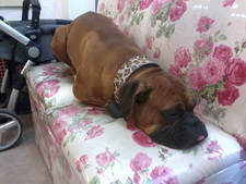 Florencia Bortoluzzi