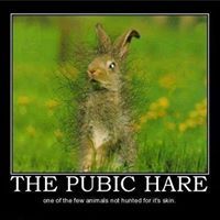 Sneakyme Mcgillicutty