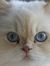 Susan W...