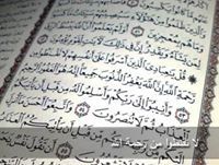 آية معاليقي