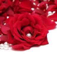 حبيبة الرحمن