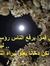 Hamody ...
