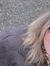 Tammy Weeden
